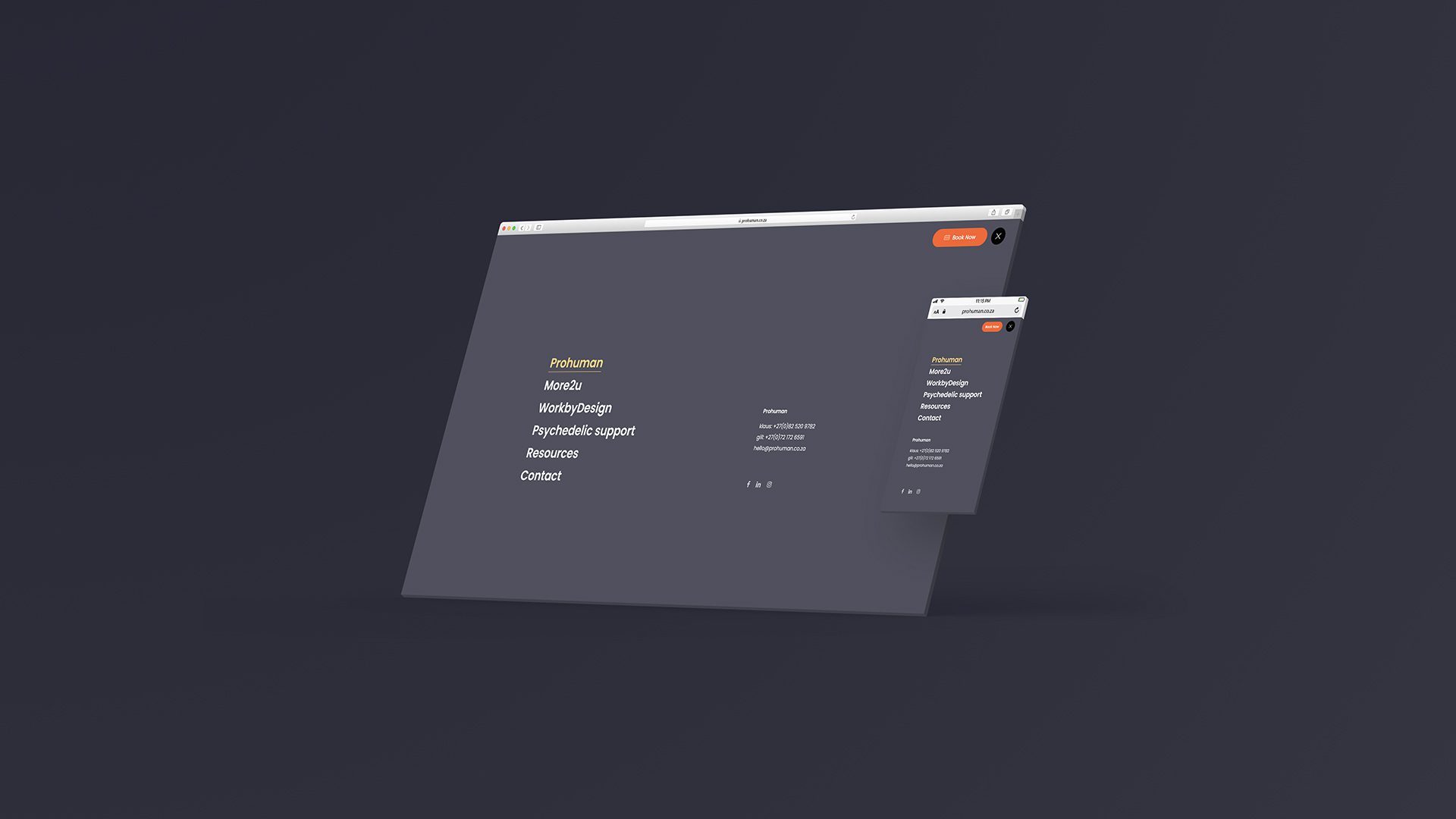 Prohuman Website Design Project Interactive Elements
