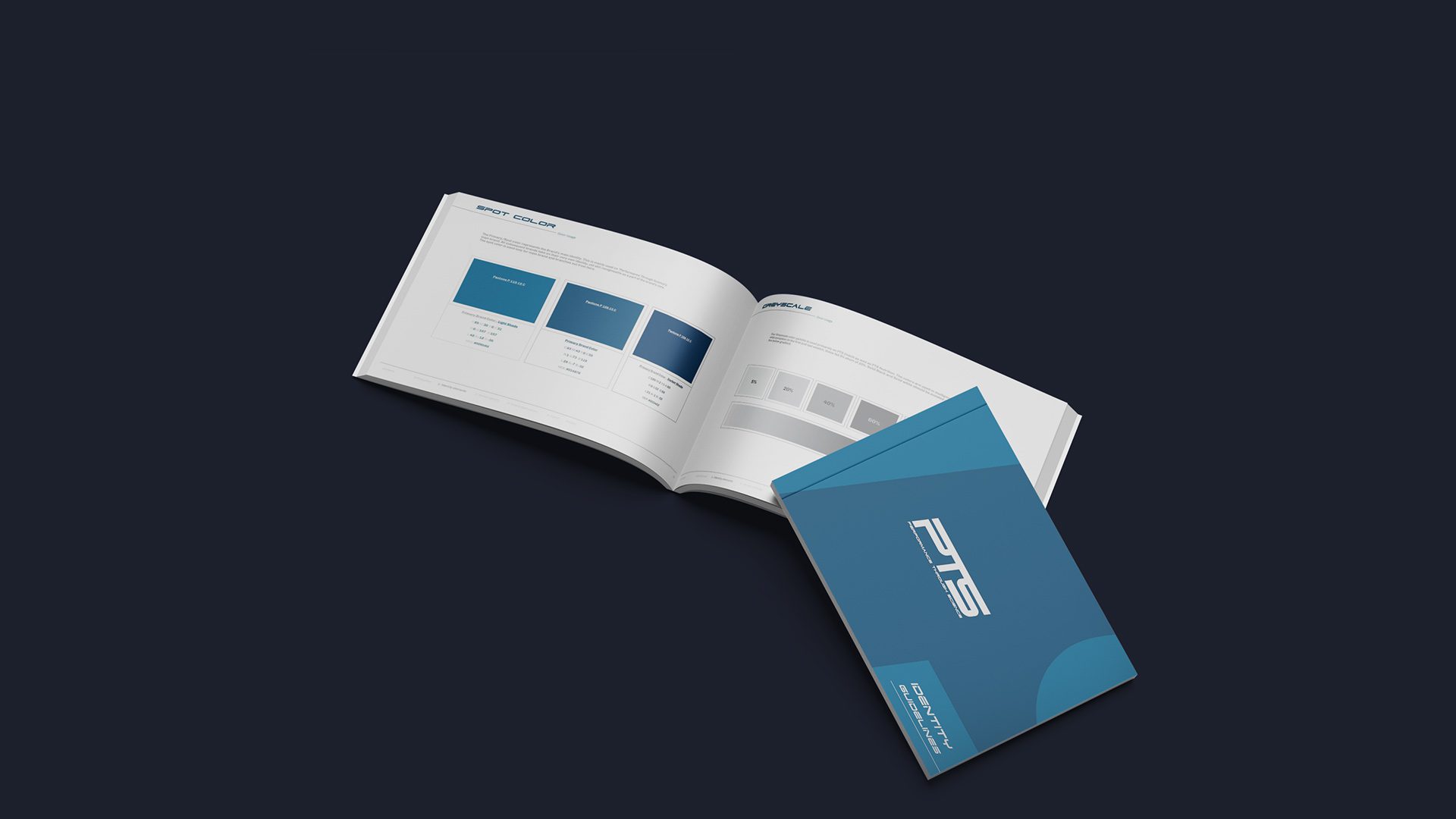 PTS Brand Identity Design Project Color Guidelines