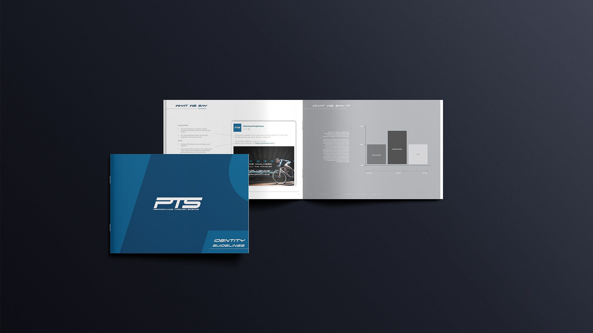 PTS Brand Identity Design Project Digital Guidelines