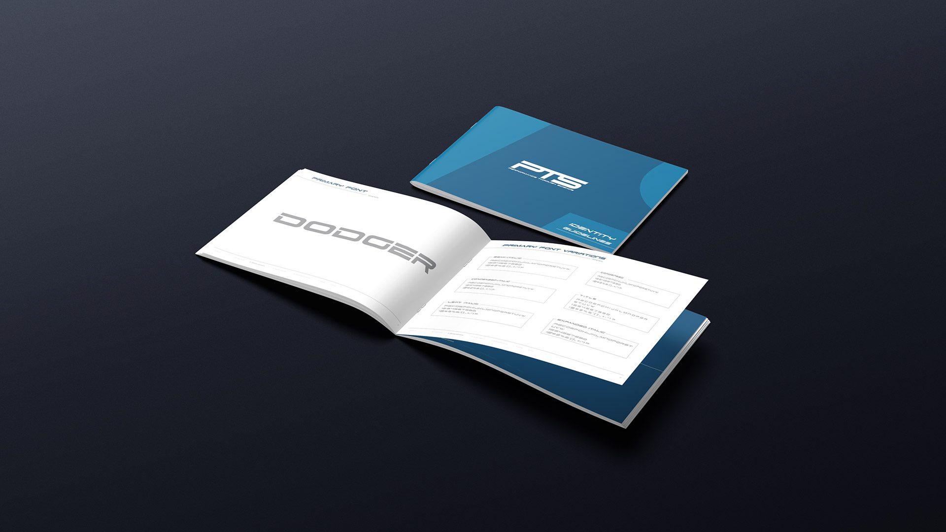 PTS Brand Identity Design Project Typography Guidelines