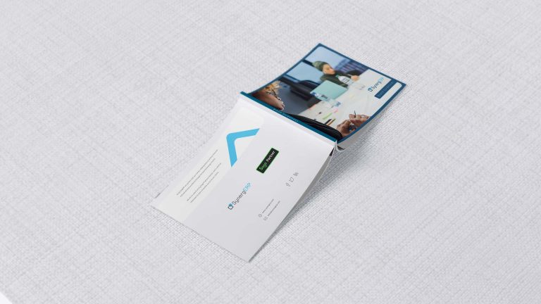 SynergERP Corporate Identity Design